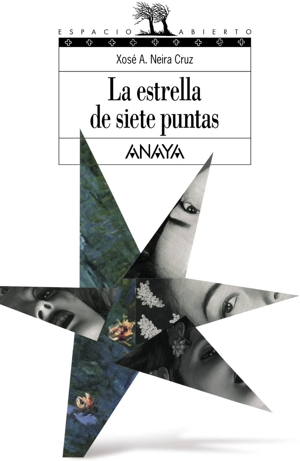 La estrella de siete puntas (LITERATURA JUVENIL - Espacio Abierto) (Spanish Edition)