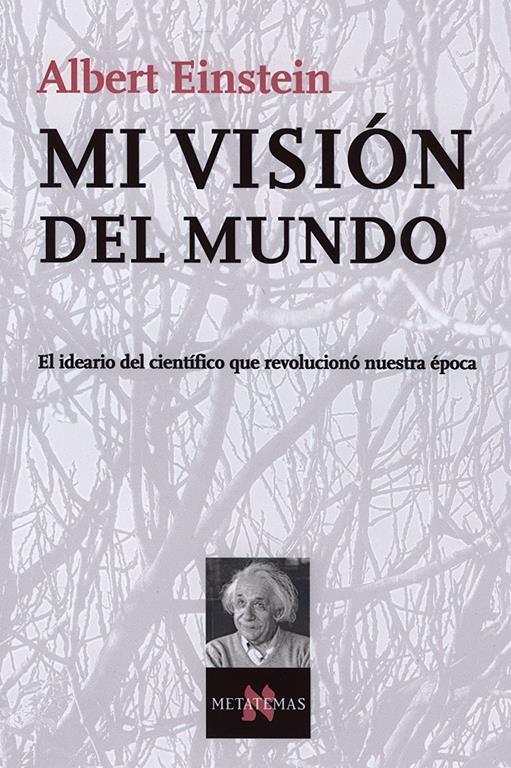 Mi Vision Del Mundo (Metatemas, 90) (Spanish Edition)
