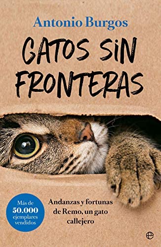 Gatos sin fronteras: Andanzas y fortunas de Remo, un gato callejero (Fuera de colecci&oacute;n) (Spanish Edition)