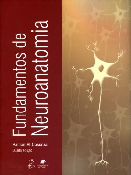 Fundamentos de neuroanatomia