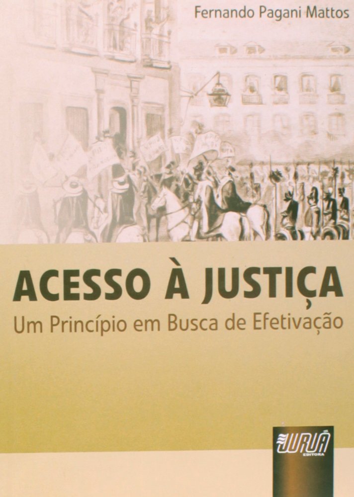 Acesso à justiça : um princípio em busca de efetivação