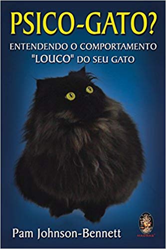 Psico-Gato? Entendendo o comportamento louco do seu gato