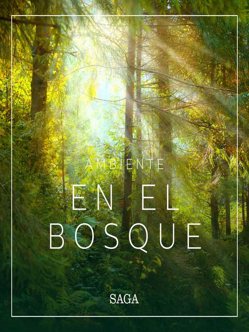 Ambiente--En el bosque