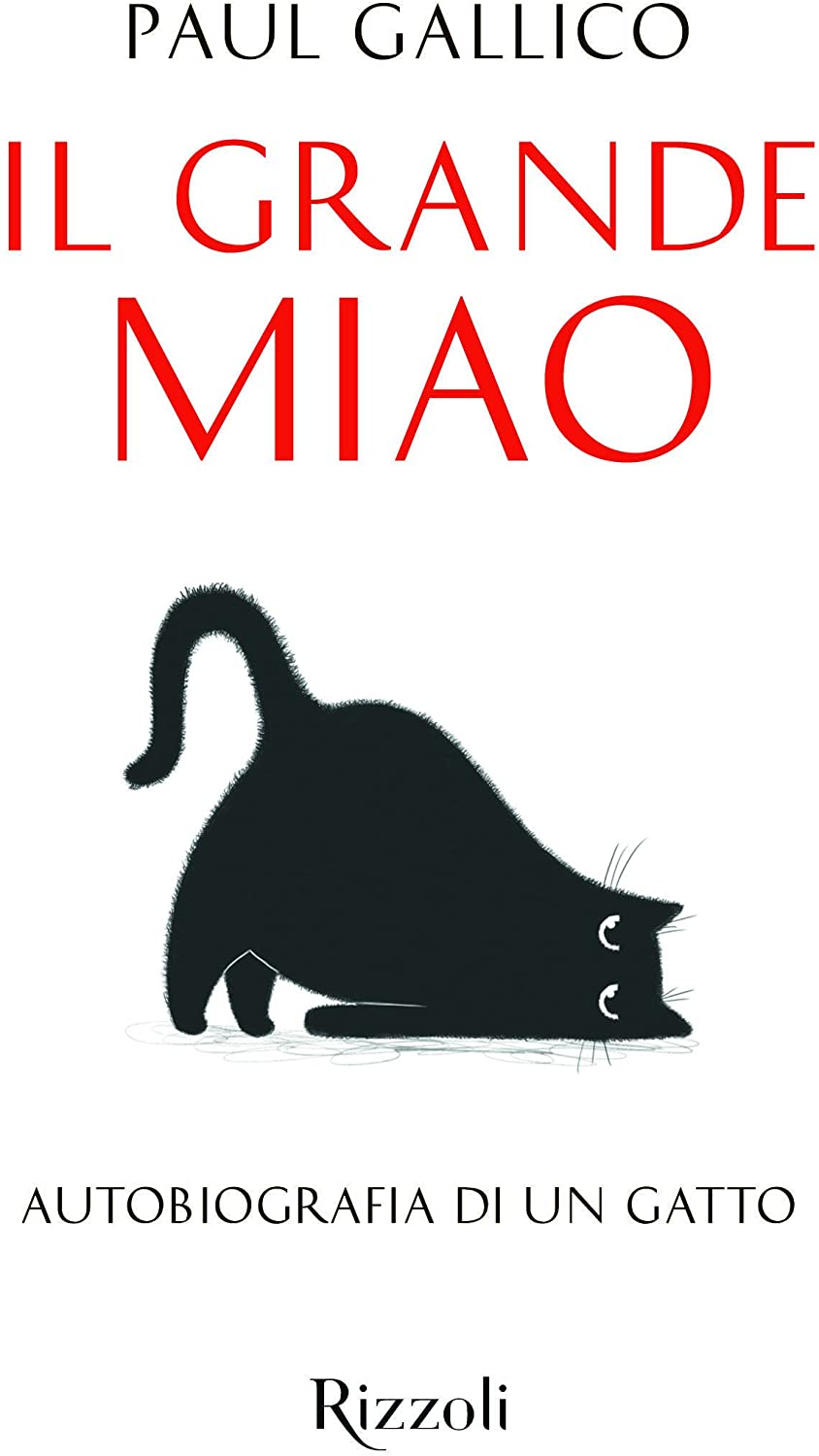 Il grande miao