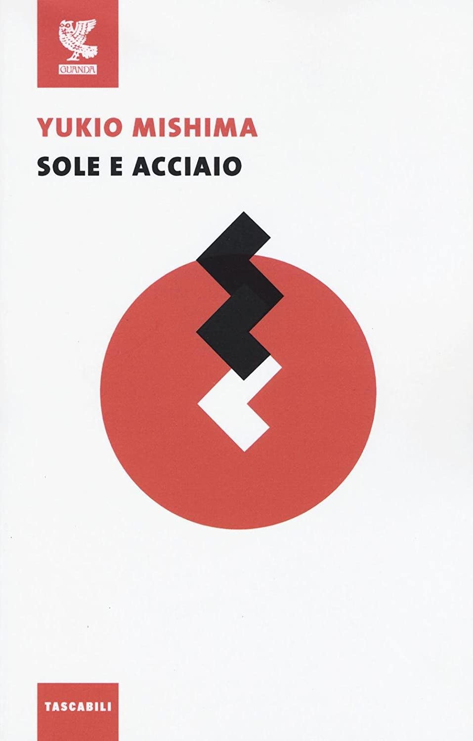 Sole e acciaio