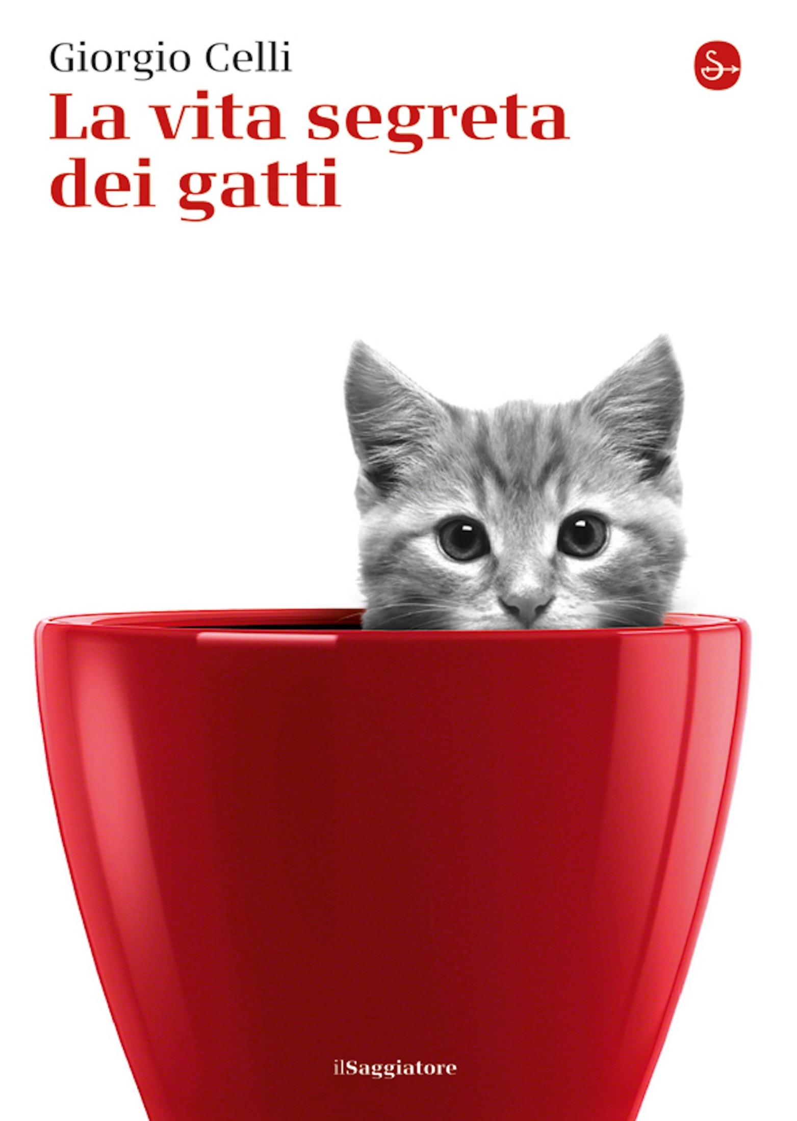 Il condominio dei gatti