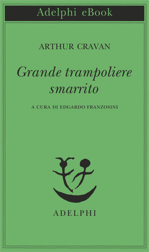 Grande trampoliere smarrito