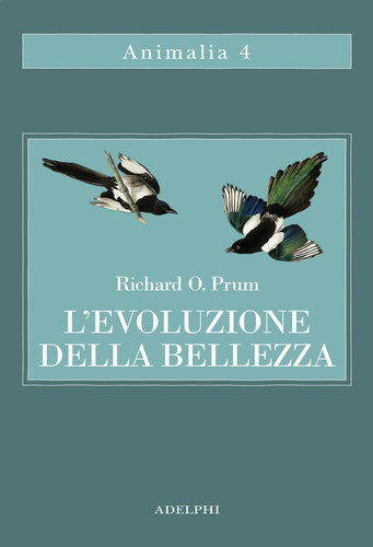 L'evoluzione della bellezza