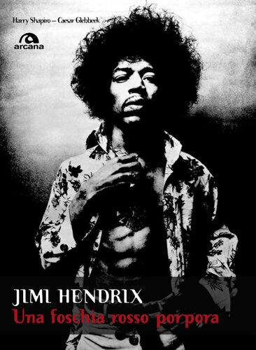 Jimi Hendrix : una foschia rosso porpora