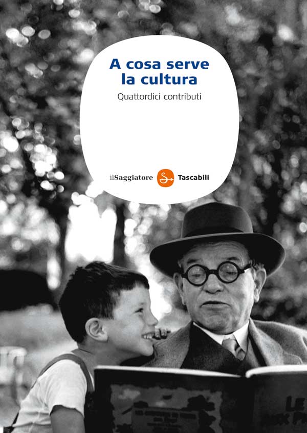 A cosa serve la cultura : quattordici contributi