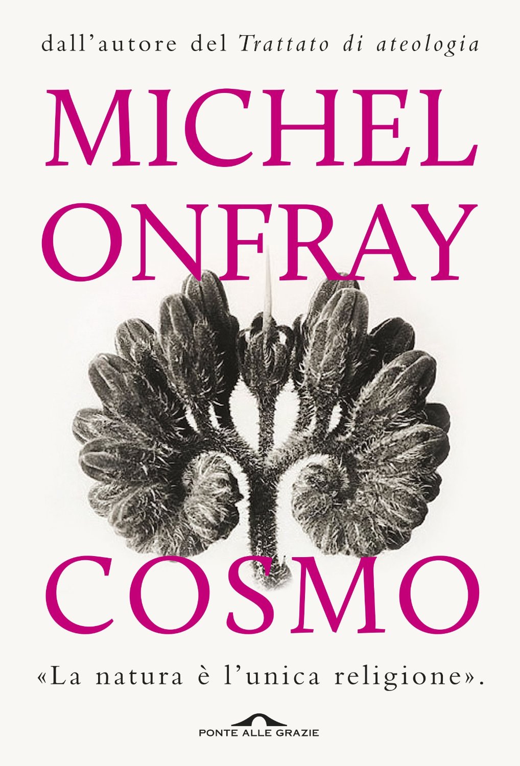 Cosmo : un'ontologia materialista
