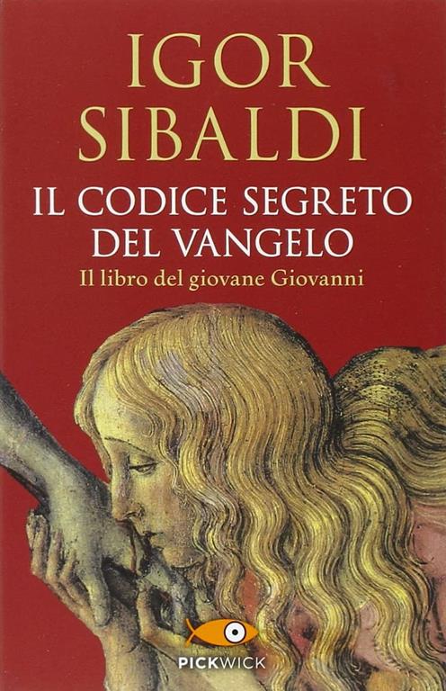 Il codice segreto del Vangelo (Italian Edition)