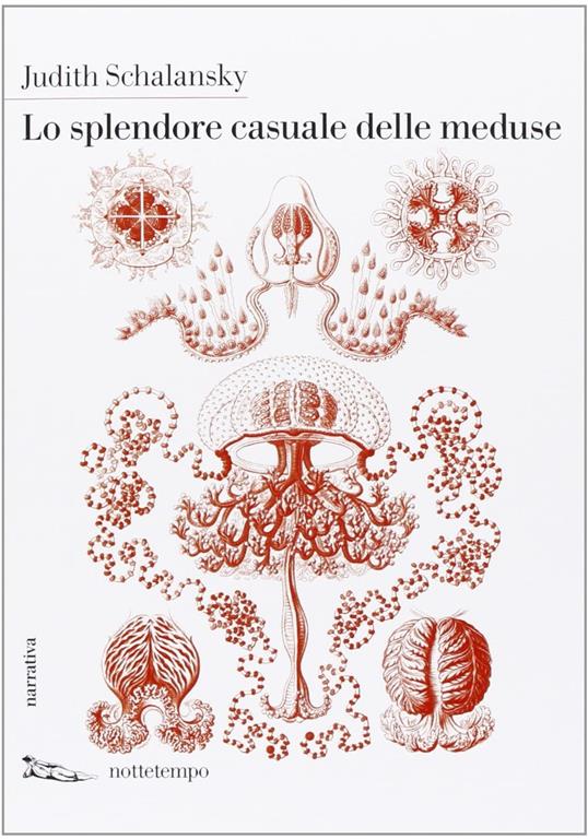 Lo splendore casuale delle meduse