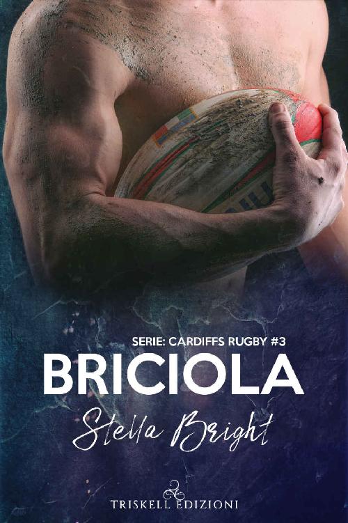 Briciola (Cardiffs Rugby Vol. 3) (Italian Edition)