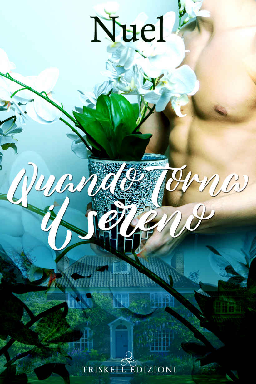 Quando torna il sereno (Italian Edition)