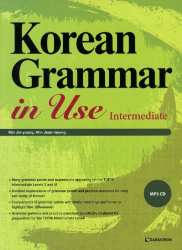 Korean Grammar in Use