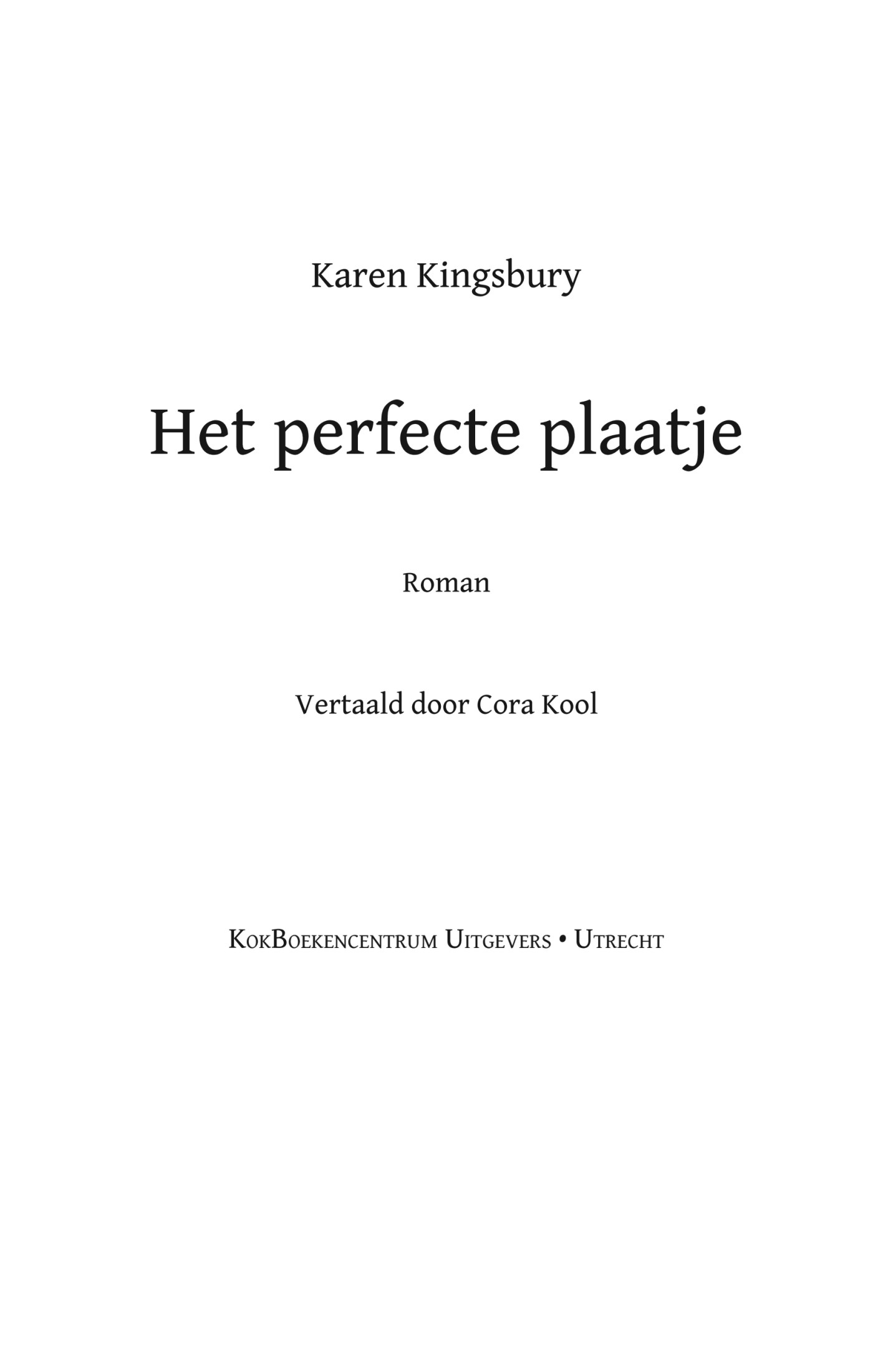 Het perfecte plaatje : roman