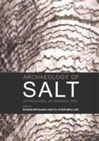 Archaeology of salt 