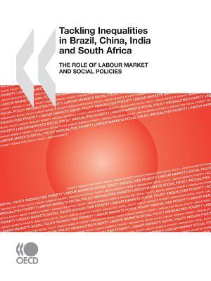 Tackling Inequalities In Brazil, China, India And South Africa