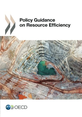 Policy Guidance on Resource Efficiency