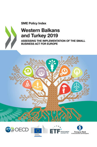 SME Policy Index for the Western Balkans and Turkey 2019 : assessing the implementation of the Small Business Act for Europe.