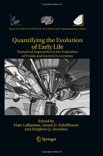 Quantifying The Evolution Of Early Life