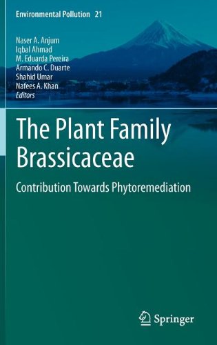 The plant family Brassicaceae : contribution towards Phytoremediation