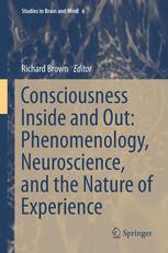 Consciousness Inside and Out: Phenomenology, Neuroscience, and the Nature of Experience