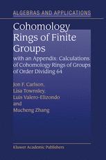 Cohomology Rings of Finite Groups.