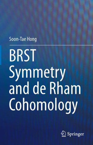 BRST Symmetry and de Rham Cohomology