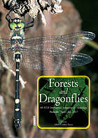 Forest And Dragonflies