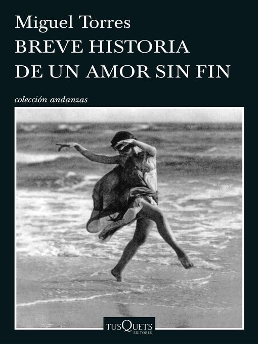 Breve historia de un amor sin fin