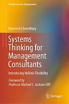 Systems thinking for management consultants introducing holistic flexibility