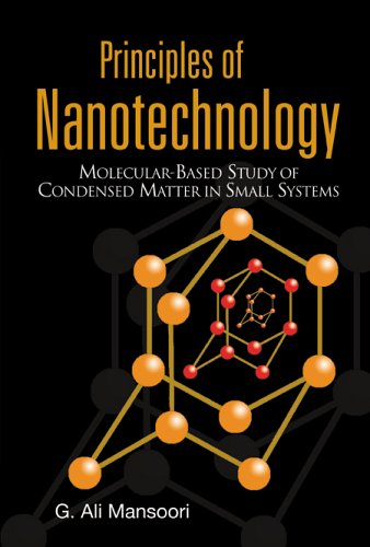 Principles of Nanotechnology