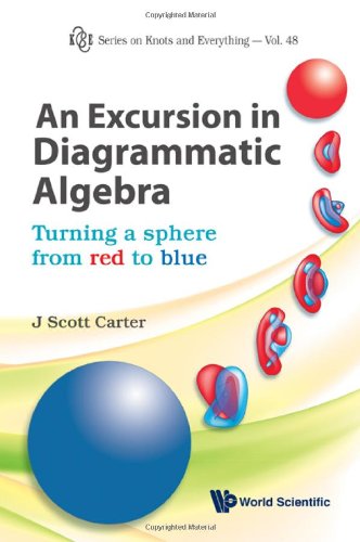 An Excursion in Diagrammatic Algebra