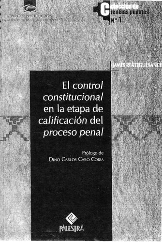 El control constitucional en la etapa de calificación del proceso penal