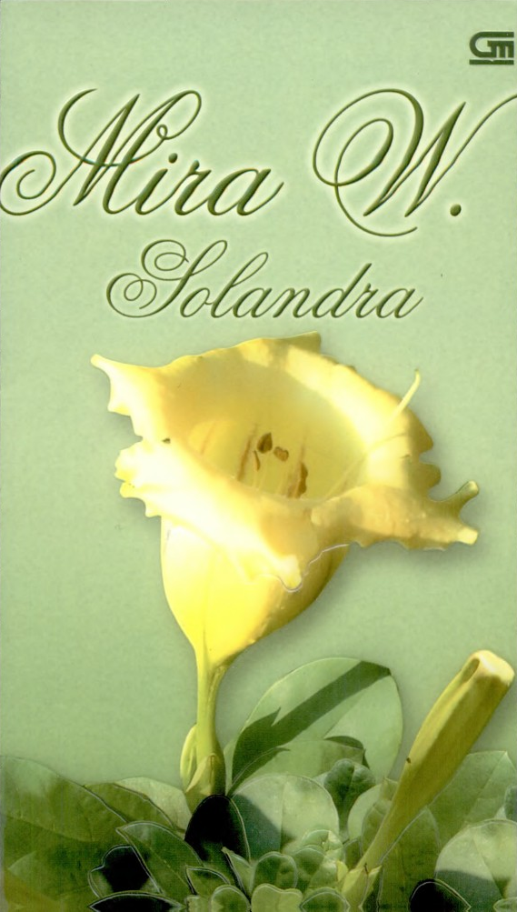 Solandra