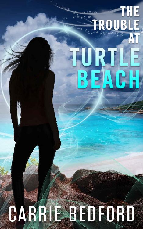 The Trouble at Turtle Beach