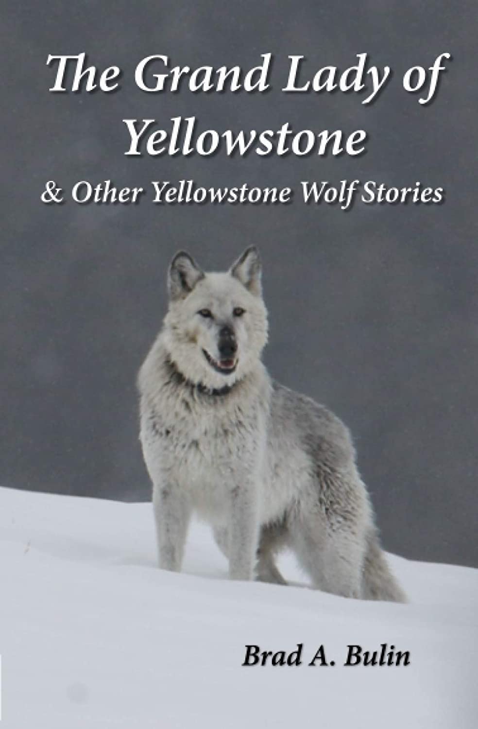 The Grand Lady of Yellowstone: &amp; Other Yellowstone Wolf Stories