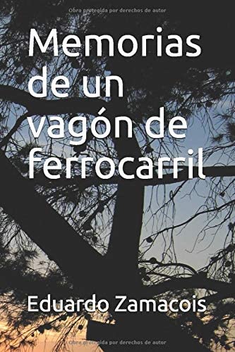 Memorias de un vag&oacute;n de ferrocarril (Spanish Edition)