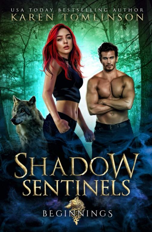 Shadow Sentinels - Beginnings