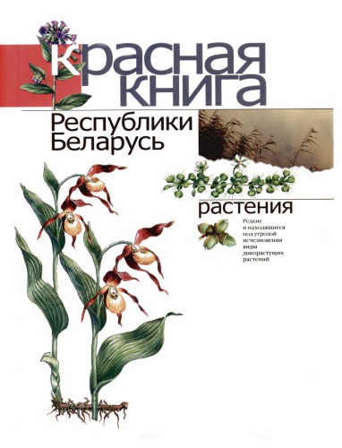 <div class=vernacular lang="ru">Красная книга Республики Беларусь : растения : редкие и находящиеся под угрозой исчезновения виды дикорастущих растений /</div>
Krasnai︠a︡ kniga Respubliki Belarusʹ : rastenii︠a︡ : redkie i nakhodi︠a︡shchiesi︠a︡ pod ugrozoĭ ischeznovenii︠a︡ vidy dikorastushchikh rasteniĭ