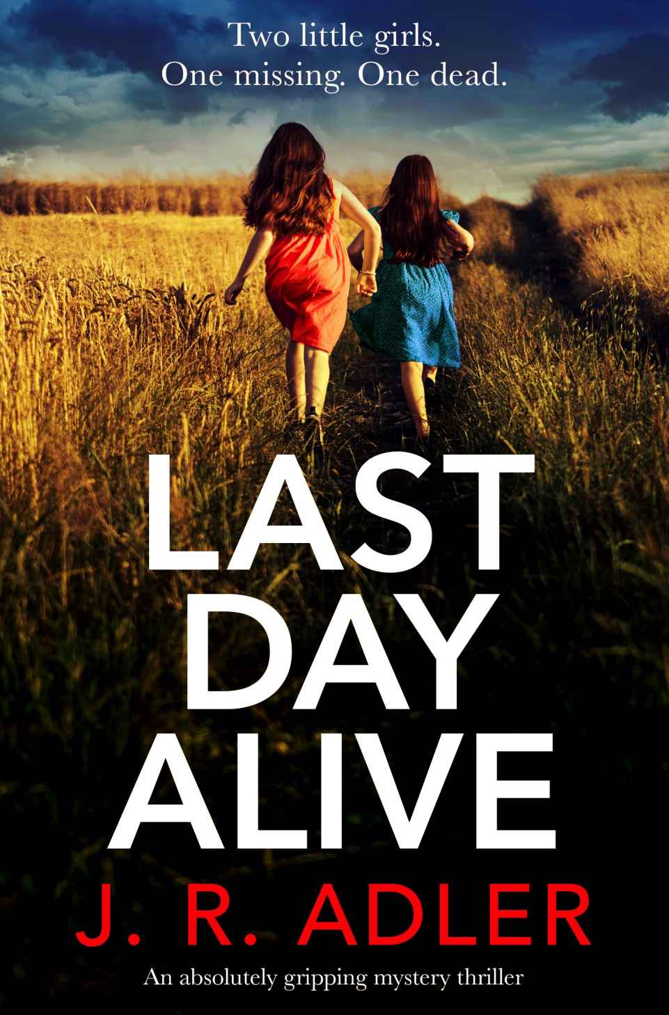 Last Day Alive: An absolutely gripping mystery thriller (Detective Kimberley King Book 2)