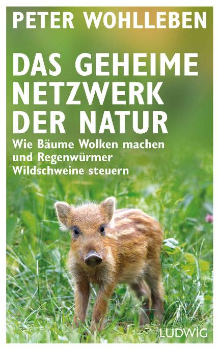 Das geheime Netzwerk der Natur