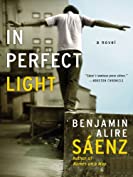 In Perfect Light: A Novel