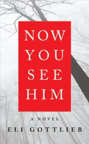 Now You See Him: A Novel