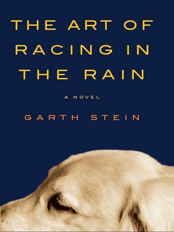 The Art of Racing in the Rain: A Novel