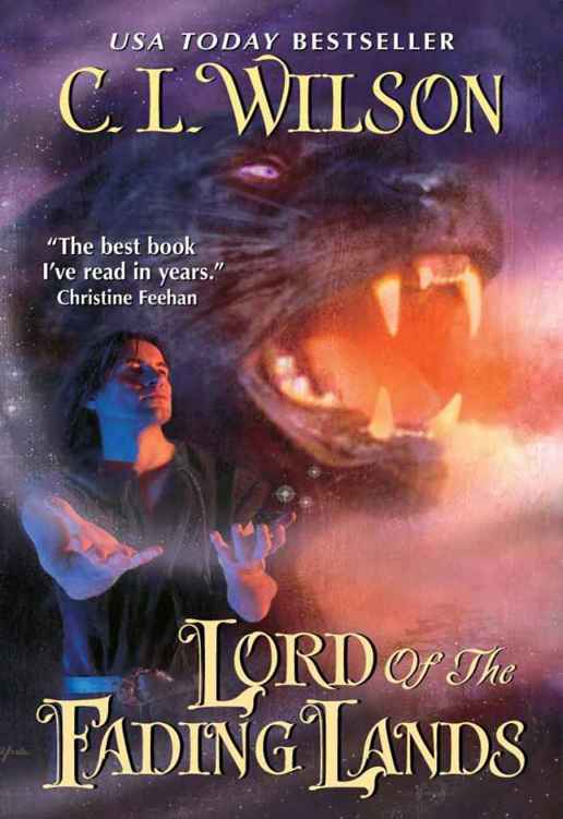 Lord of the Fading Lands (The Tairen Soul Book 1)