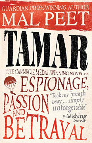 Tamar: A Story of Secrecy and Survival