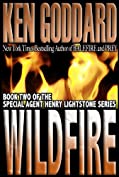 Wildfire (Special Agent Henry Lightstone Series Book 2)